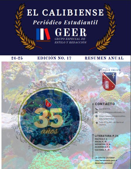 Edicion 17 periodico